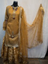 Pakistani Dress