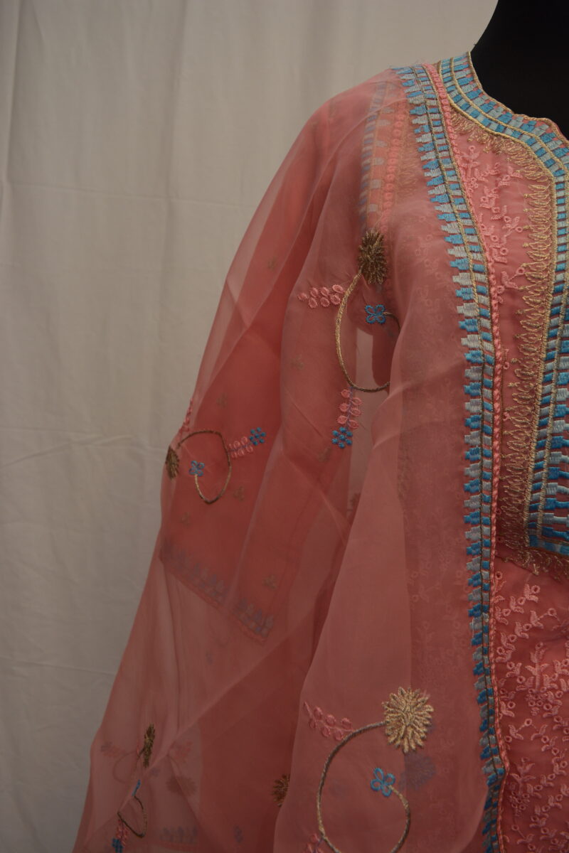 Pakistani Dress - Image 4