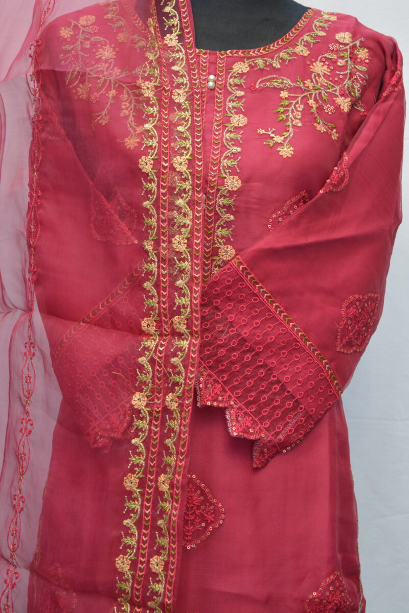 Pakistani Dress - Image 2