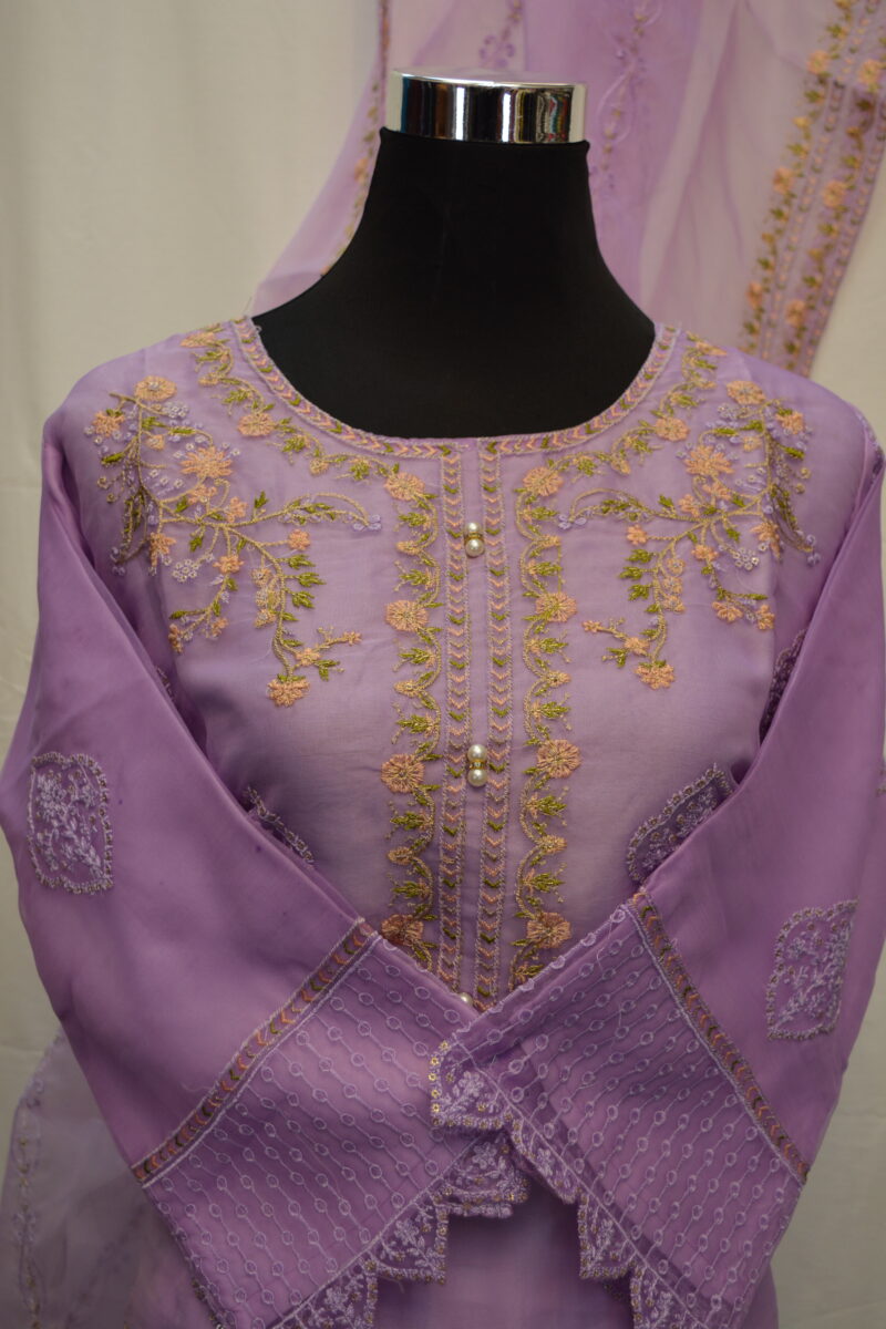 Pakistani Dress - Image 2
