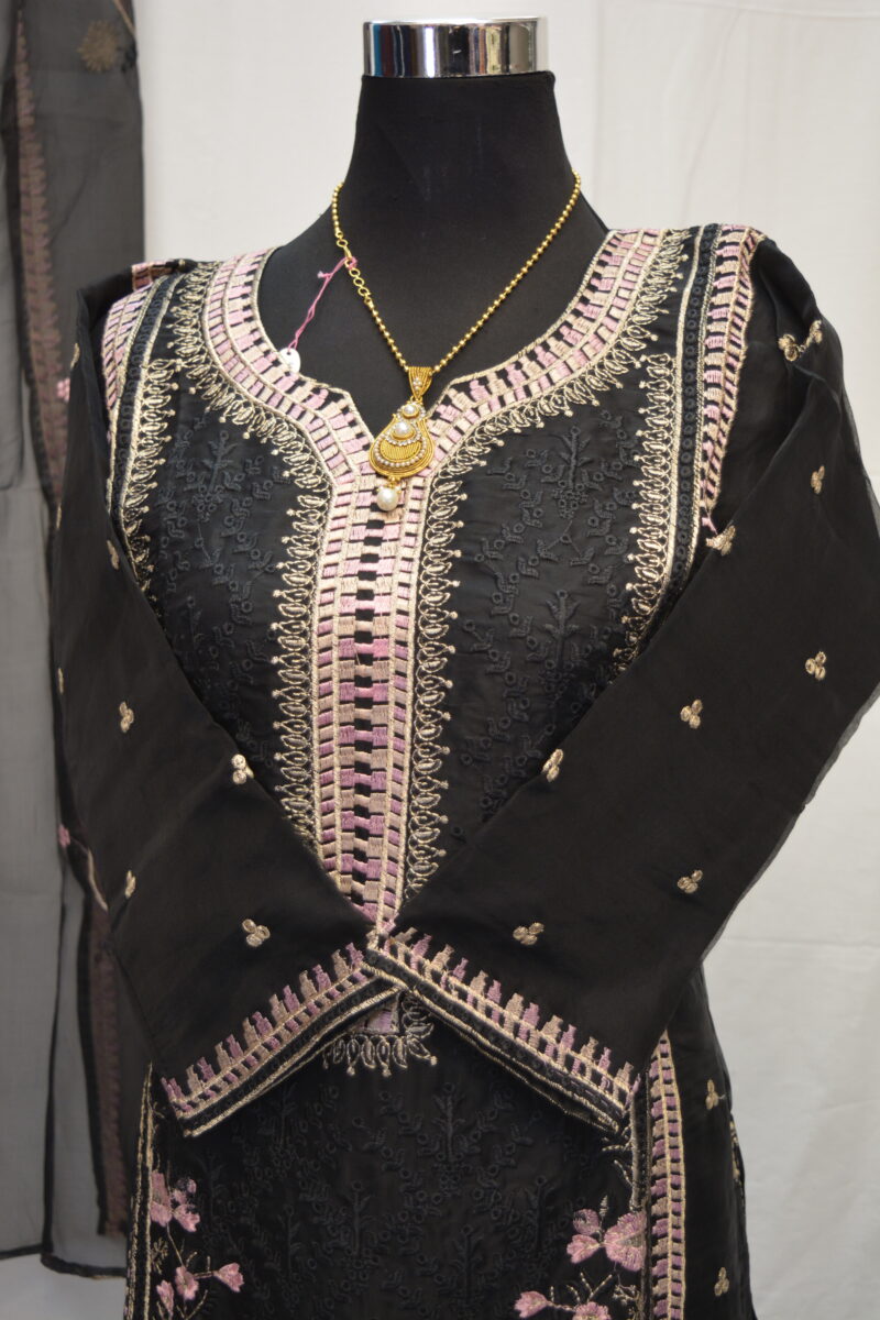 Pakistani Dress - Image 2