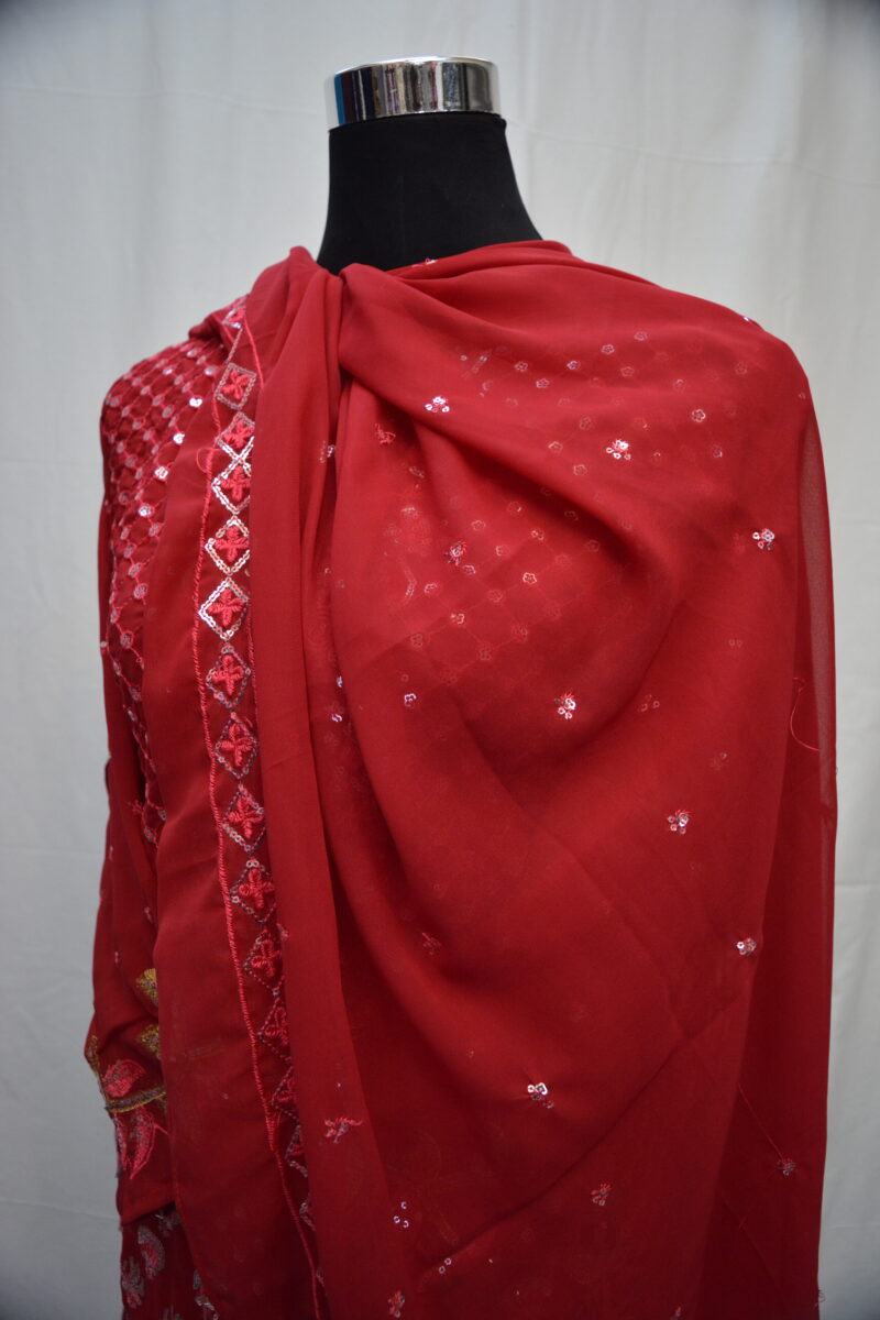 Pakistani Dress - Image 4