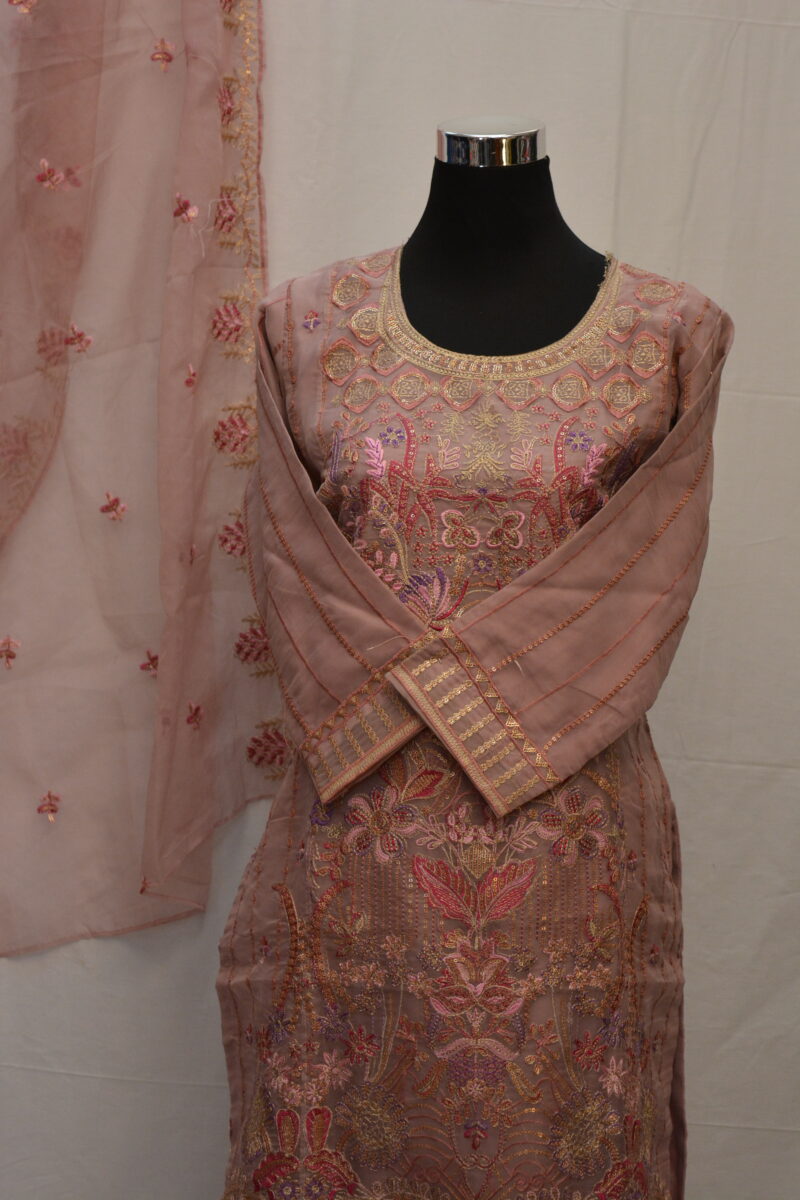 Pakistani Dress - Image 2