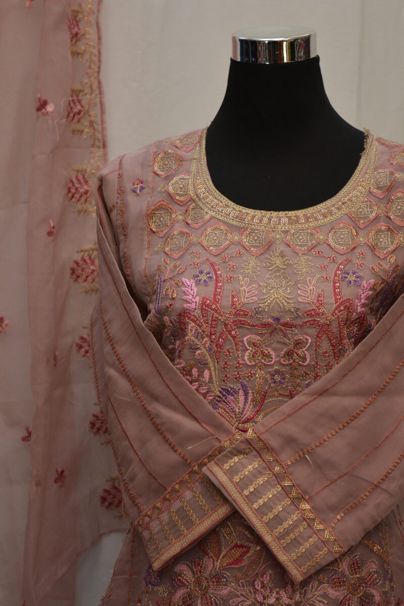 Pakistani Dress - Image 3