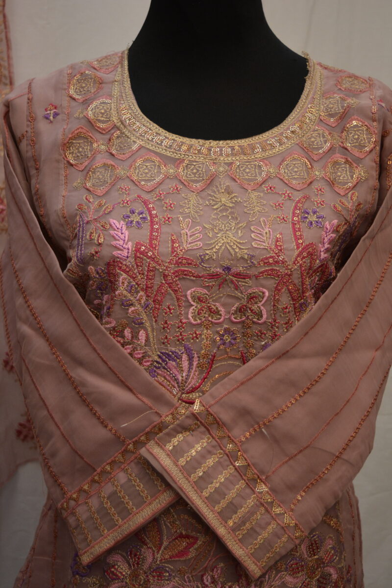 Pakistani Dress - Image 4