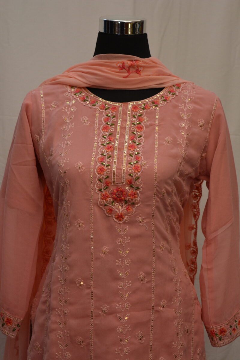 Pakistani Dress - Image 3