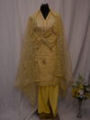 Pakistani Dress