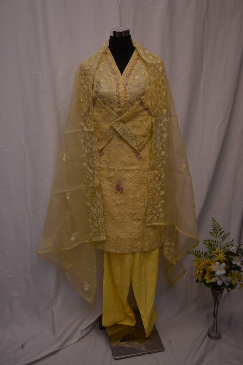 Pakistani Dress