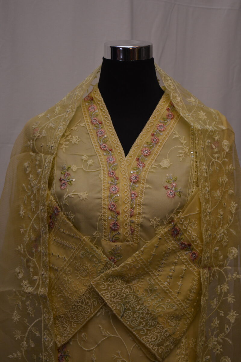 Pakistani Dress - Image 3
