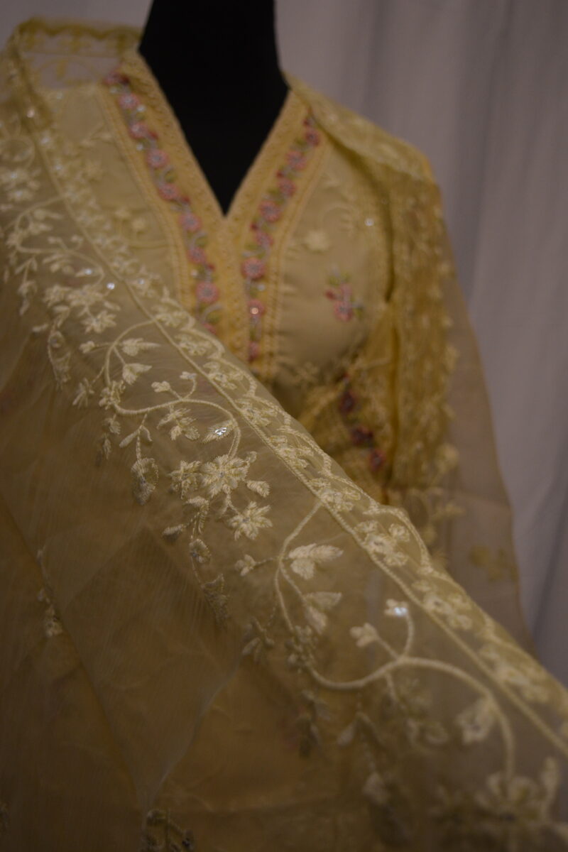 Pakistani Dress - Image 5