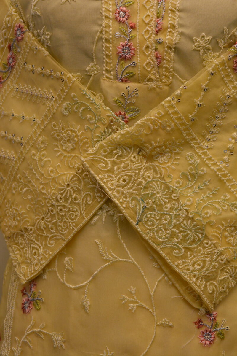 Pakistani Dress - Image 4