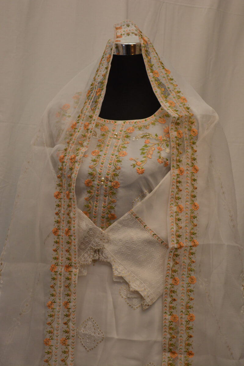 Pakistani Dress - Image 2
