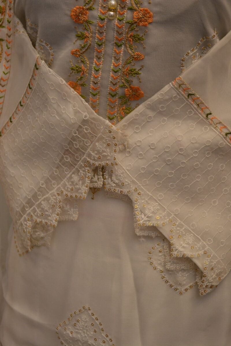 Pakistani Dress - Image 3