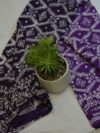 Batik Saree